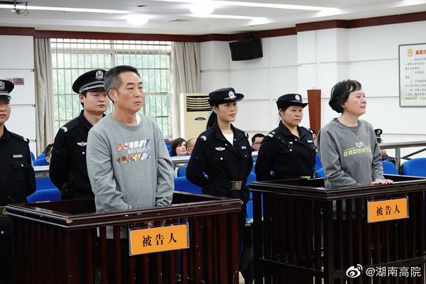 周國利最新動(dòng)態(tài)，日常趣事與溫馨瞬間回顧