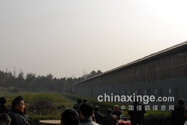 成都國奧公棚最新動態(tài)更新