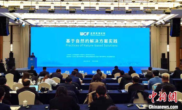 濠江論壇22324C0m,快速解答方案實踐_跨界版51.958