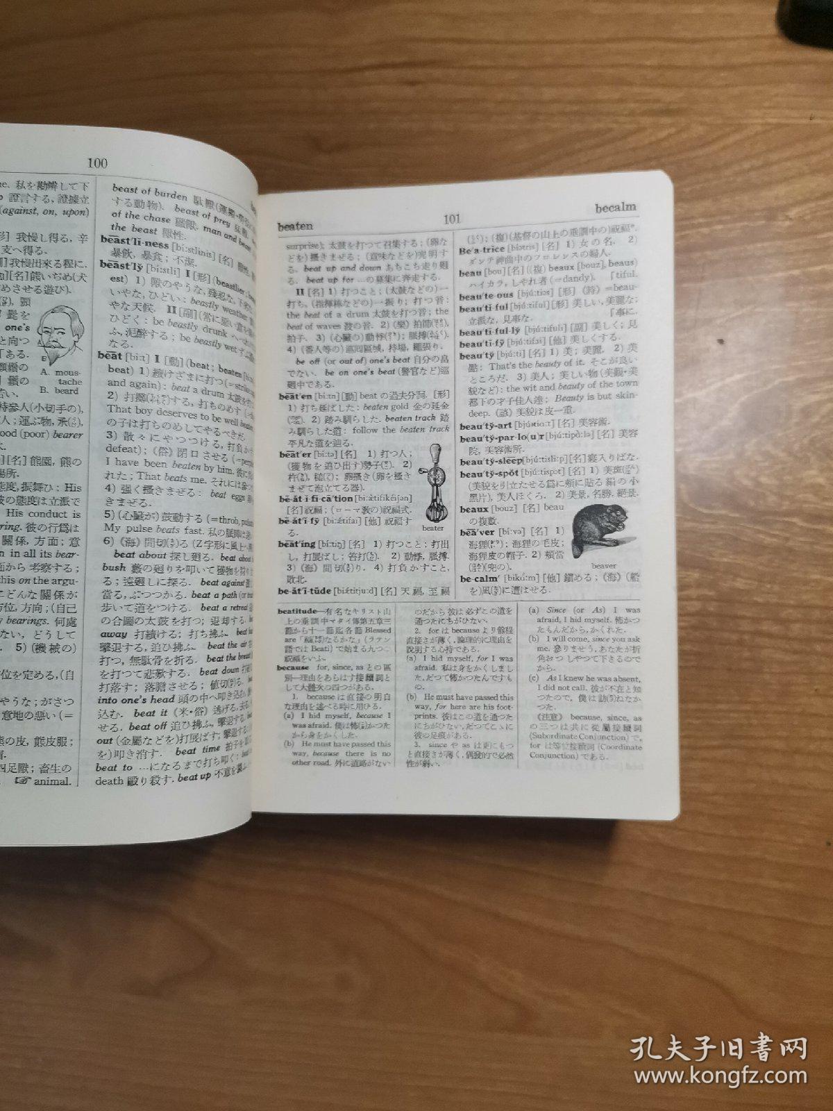 全新英文字典，開啟語言探索之旅
