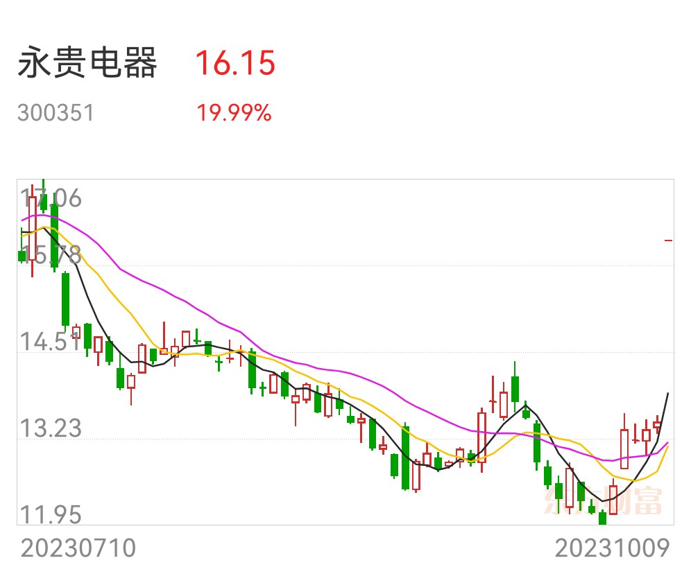 永貴電器股票投資潛力與前景展望分析